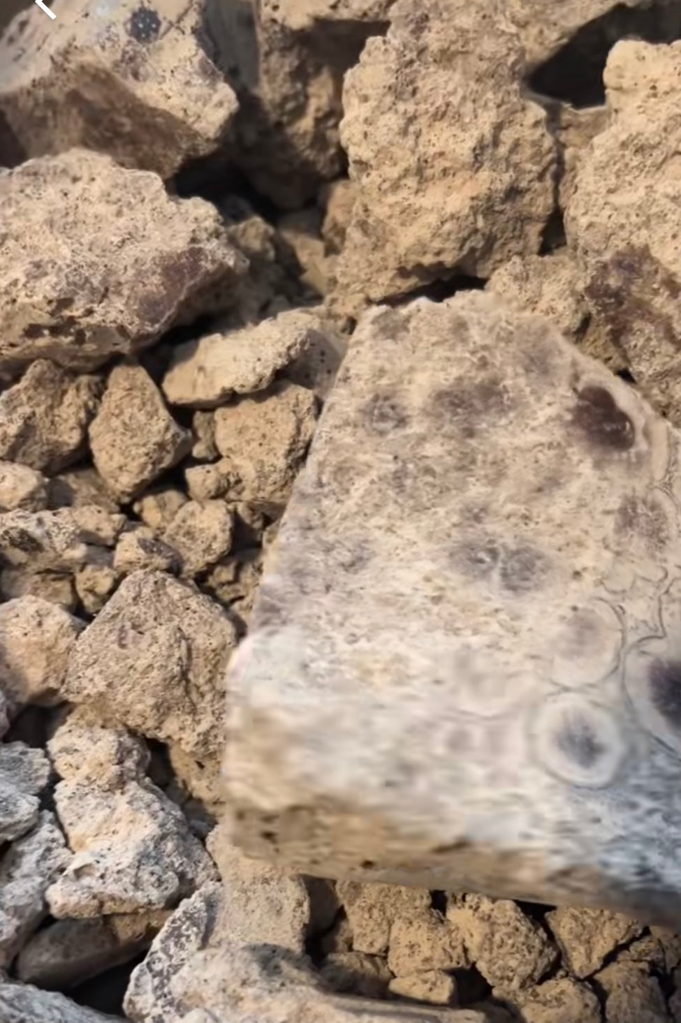 Why I Use Ceremonial-Grade Cacao (And Why You Might Want To Too)