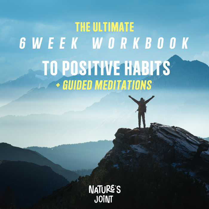 The ultimate 6week workbook to positive habits